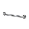 24" Metal Grab Bar w/ Concealed Flange