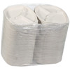 Cafeteria & School Lunch Tray 10.5X1 IN 3 Compartment Molded Fiber Natural Round 250/Case