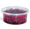 HomeFresh® Deli Container Base 8 OZ PP Clear 500/Case