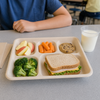 Cafeteria & School Lunch Tray 5 Compartment Molded Fiber 125 Count/Pack 4 Packs/Case 500 Count/Case