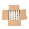 Cup Tumbler 10 OZ Plastic Clear Square Bottom 500/Case