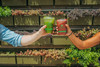 Greenware® Cold Cup 12-14 OZ PLA Clear Stock Print 1000/Case