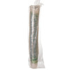 GreenStripe® Cold Cup 24 OZ PLA Clear 1000/Case