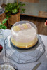 Lid High Dome 9.75X5 IN 1 Compartment PET Clear Round For Cake Bakery Container Smooth Unhinged 100/Case