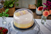 Lid Dome 9.75X5 IN PET Clear Swirl For 8IN Cake 120/Case