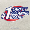 Resolve® Citrus Scent Carpet Spot Cleaner 22 FLOZ RTU Foam Aerosol 12/Case