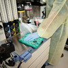 Hygen™ All Purpose Cleaning Cloth 16X16 IN Microfiber Green 12/Case