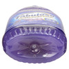 Fabuloso® Lavender All Purpose Cleaner 16.9 FLOZ Liquid 24/Case