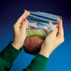 Sandwich Bag 7X7+1.5 IN LDPE 0.85MIL Clear With Flip Top Closure FDA Compliant 1000/Box