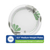 Dixie® Plate 8.5 IN Paper Multicolor Pathways Round Medium Weight 1000/Case