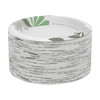 Dixie® Plate 8.5 IN Paper Multicolor Pathways Round Medium Weight 500/Case