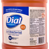 Dial Hand Soap Liquid 1 GAL Antimicrobial 4/Case