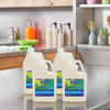 Softsoap Hand Soap Liquid 1 GAL Fresh Scent Aloe Vera Soothing 4/Case