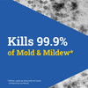 Tilex® Mildew Remover 1 GAL Multi Surface RTU Sodium Hypochlorite 4/Case