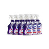 Lysol® Mold & Mildew Cleaner 32 OZ Spray 12/Case