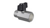 NPB Ball Valve Metal Silver 1/2IN FMB 1/Each
