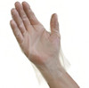 Ambitex® Gloves XL Clear PE Disposable 2000/Case