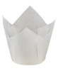 Baking Cup White Tulip 2000/Case