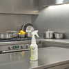 EcoLogic Solutions E-70 Stainless Steel Cleaner 32 FLOZ 6/Case