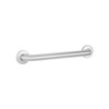 Grab Bar 42 IN Stainless Steel Straight Peened Satin 1/Each