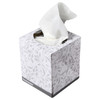 Victoria Bay Facial Tissue 2PLY Virgin Pulp White Cube Box 90 Sheets/Pack 36 Packs/Case
