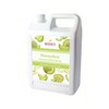 Honeydew Syrup 5.5 LB 6/Case