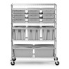 ProSave® Ingredient Bin Mobile Rack 18.00X50.00X67.16 IN Chrome Metal 1/Each