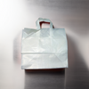 Bag 14X10X13 IN Plastic With Soft Loop Handle Closure Cardboard Bottom Gusset 100/Case