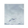 Bag 7.75X6.5+1.5 IN Foil-Lined Paper Kraft Paper Silver White 1000/Case
