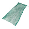 Grapes Bag 15.5X15 IN Plastic Green Mesh & Net 1000/Case