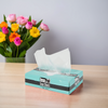 Deli Sheets 10X10.75 IN HDPE 10MIC Clear Interfold 1000 Count/Box 10 Box/Case 10000 Count/Case