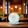 Salad Plate 8 IN 15 OZ China Fleur 36/Case