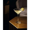 Chef & Sommelier Symetrie Coupe Glass 8 FLOZ Glass 24/Case