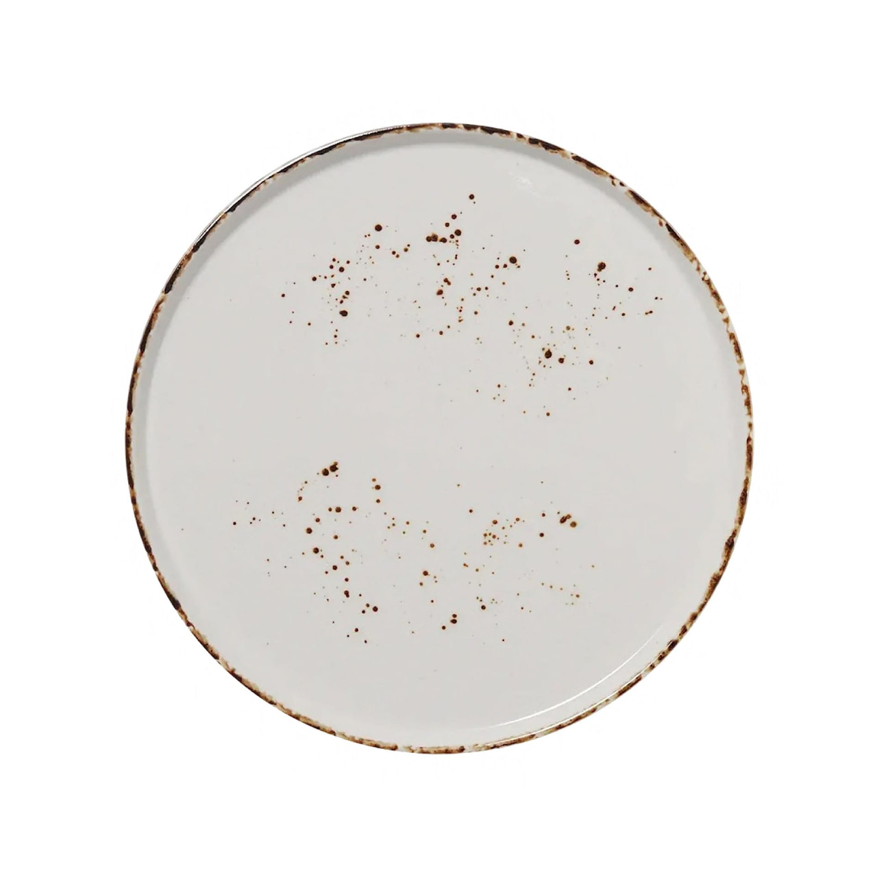 Splash Blanch Series Plate 11 IN Porcelain Round Stackable Dual Ovenable Dishwasher Safe 12/Case