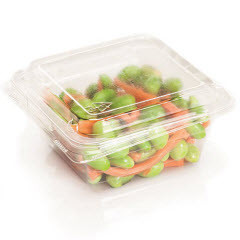 WNA Deli Container Hinged With Dome Lid 6 OZ Plastic Clear 1500/Case