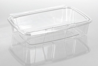 Fresh N' Sealed® Deli Container Hinged With Flat Lid 74 OZ PET Clear Rectangle 116/Case