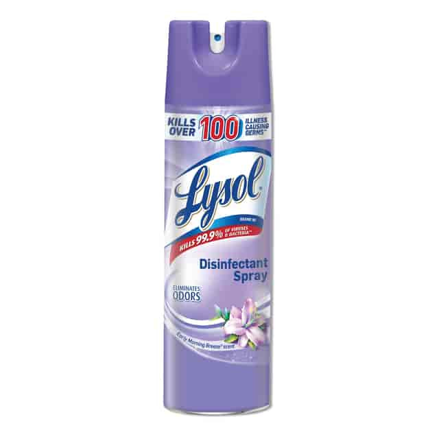 Lysol® Early Morning Breeze Disinfectant Spray 12/Case