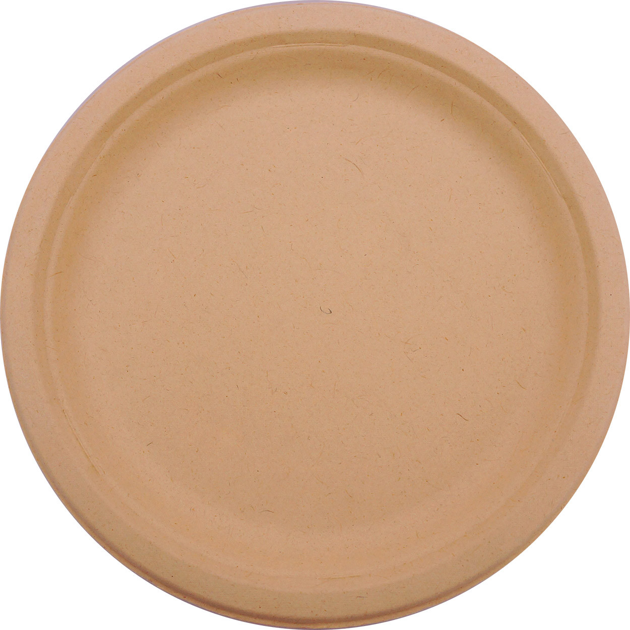 Earthable® Plate 9 IN Plant Fiber Natural 500/Case