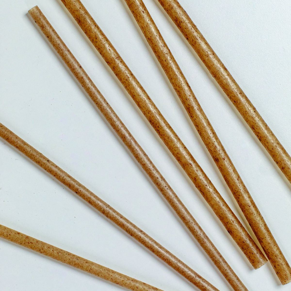 Straw 8.2 IN Agave Natural Wrapped 2000/Case