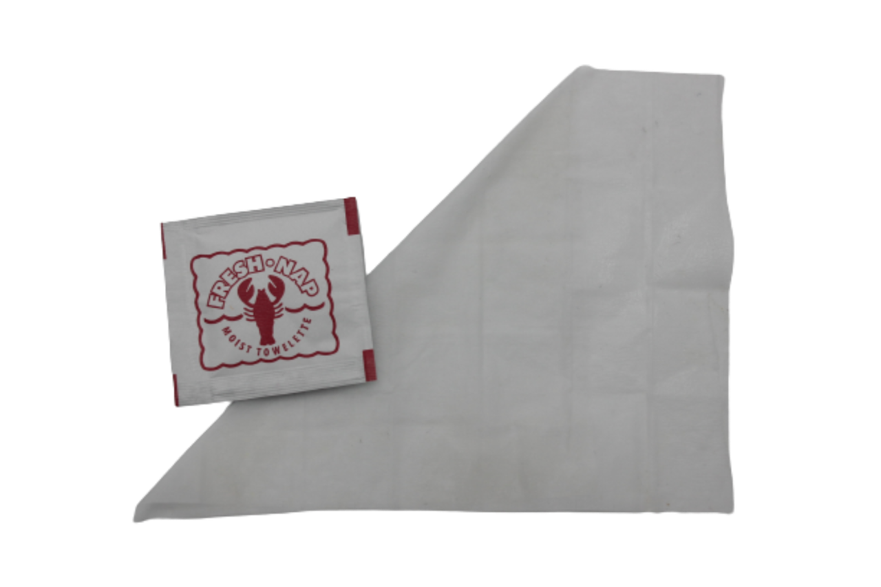 Fresh Nap Moist Towelette 4X7 IN 1000/Case