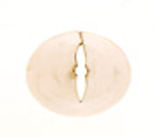 Cake Piping Tip Special Leaf 1/Each