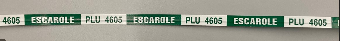 Escarole Twist Tie 18X0.375 IN Paper Green White 300/Bundle