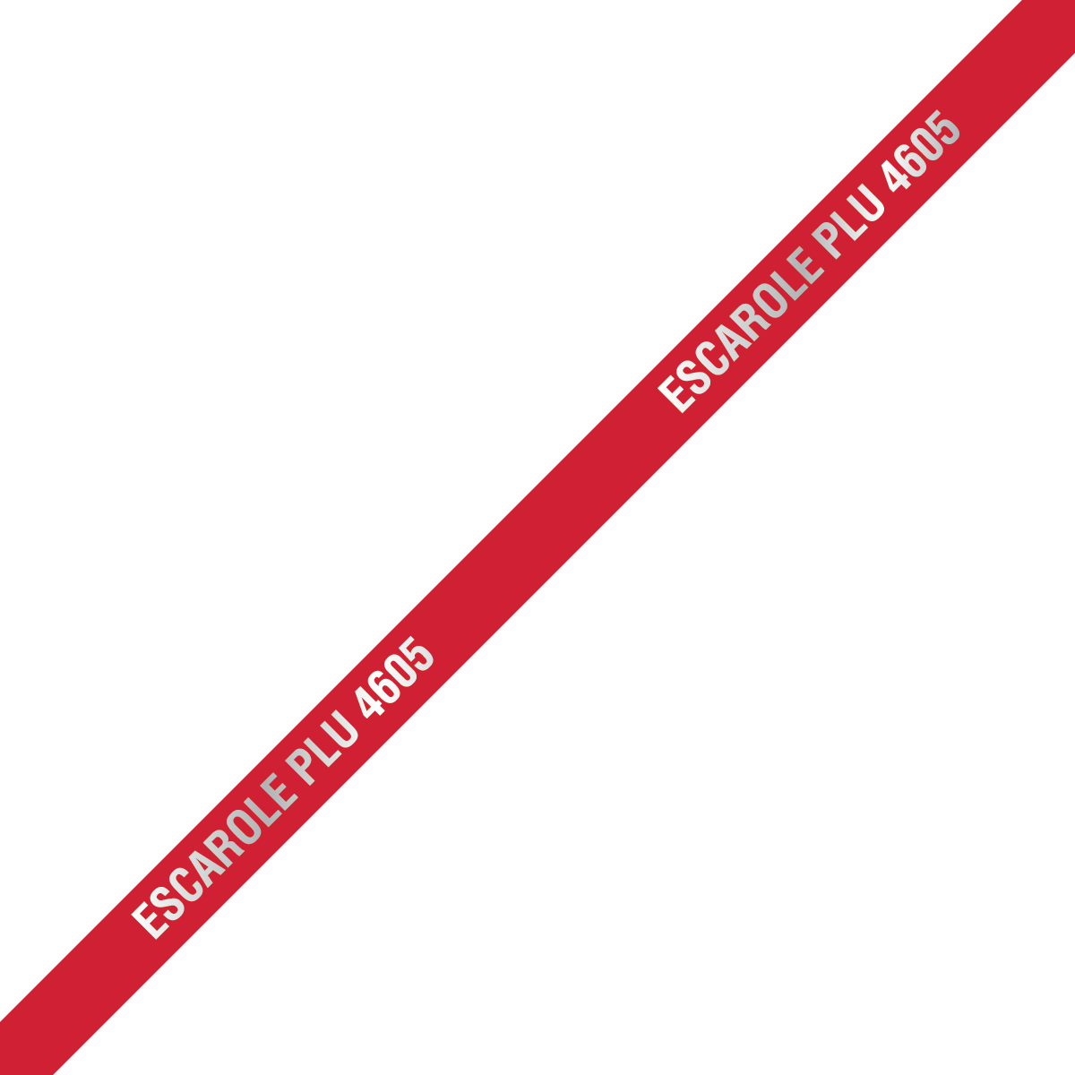 Escarole Twist Tie 18X0.375 IN Foil-Lined Paper Metal Red 300/Pack