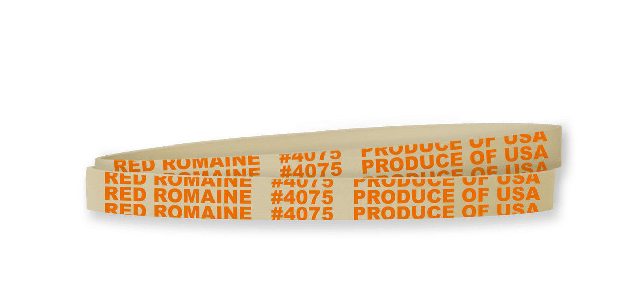 Red Leaf Lettuce Rubber Band 5.5X0.375 IN Rubber Latex White Orange 1/Bag