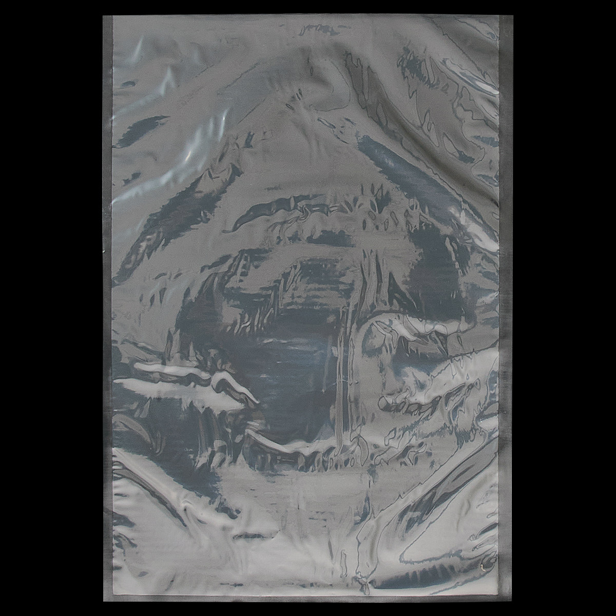 Bag 14X20 IN Plastic Vacuum 500/Case
