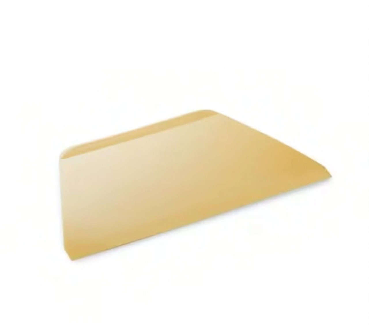 Thermo Scraper Large (LG) 1/Each