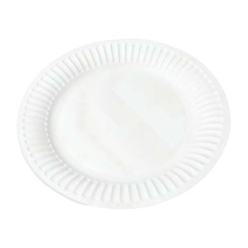 Plate 9 IN Coated Paper White Heavy Duty 500/Case