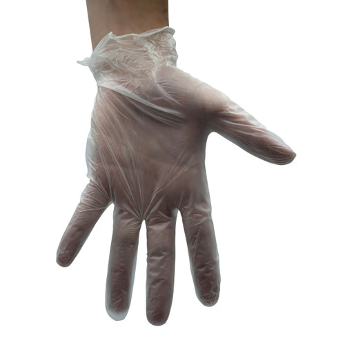 Food Service Gloves Large (LG) Clear Vinyl Powder-Free 1000/Case
