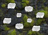 Terrain Bases - Age of Sigmar 2026-27 - Mossfell