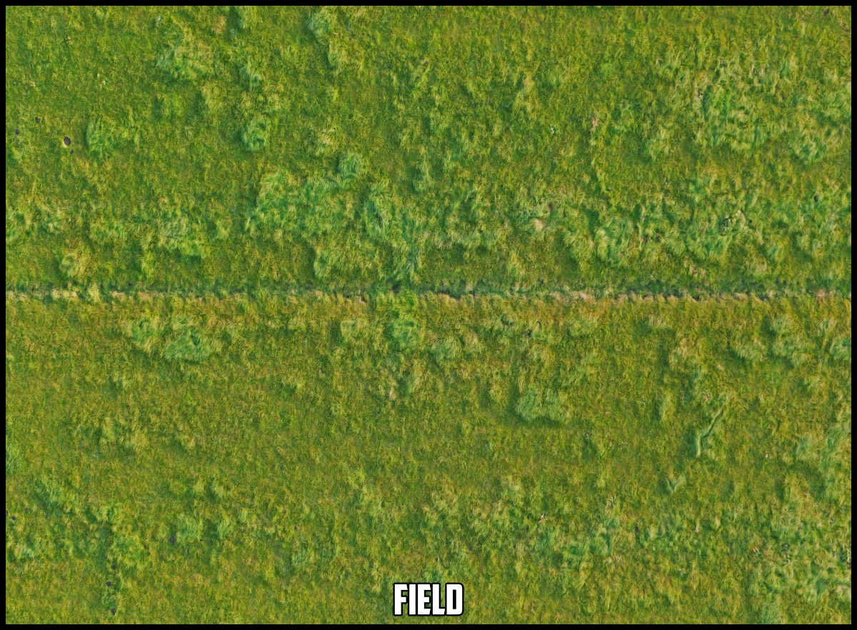 texture-field-example.jpg